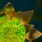 Preview: Blumenstecker "Sonnenblume"